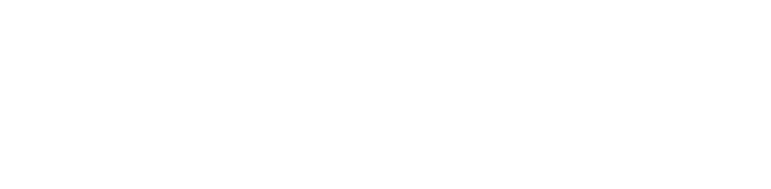 OverseePOS Logo